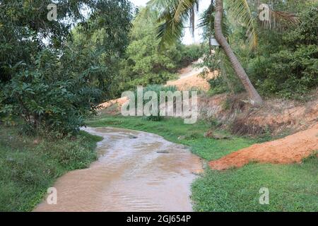 Fluss durch den Dschungel in Zentralvietnam. Stockfoto