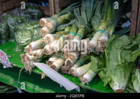 Leeks, Farmer's Market, USA, von James D. Coppinger/Dembinsky Photo Assoc Stockfoto