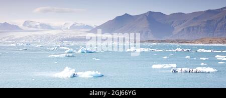 Jokulsarlon, die größte Gletscherlagune oder der größte See im Südosten Islands, am Kopf des Breidamerkurjokull-Gletschers, der vom Vatnajokul abzweigt Stockfoto