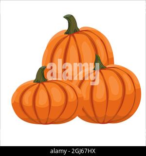 Illustration von orangefarbenen Kürbissen im Cartoon-Stil. Ein Haufen Kürbisse. Vektorclipart auf weißem Hintergrund isoliert Stock Vektor