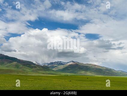 Sommerweide mit traditionellen Jurten. Die Suusamyr-Ebene, ein Hochtal im Tien-Shan-Gebirge, Kirgisistan Stockfoto