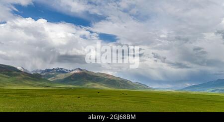 Sommerweide mit traditionellen Jurten. Die Suusamyr-Ebene, ein Hochtal im Tien-Shan-Gebirge, Kirgisistan Stockfoto