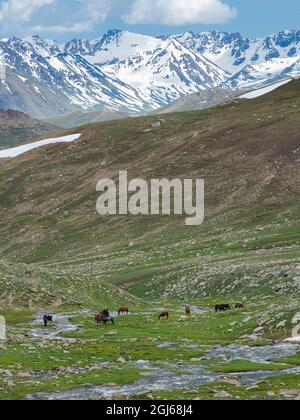 Landschaft am Otmok-Pass im Tien Shan oder den himmlischen Bergen Kirgisistans Stockfoto