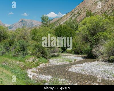 Auf dem Weg hinauf zum Pass Moldo Aschu. Landschaft am See Song Kol (Son Kul, Songkol, Song-Koel). Tien Shan Mountains oder himmlisches mou Stockfoto