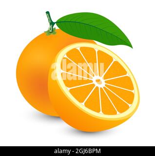 Frisches Orange mit orangefarbener Scheibe mit isolierten Blättern auf weißem Hintergrund. Vektor-Fruchtdesign. Stock Vektor