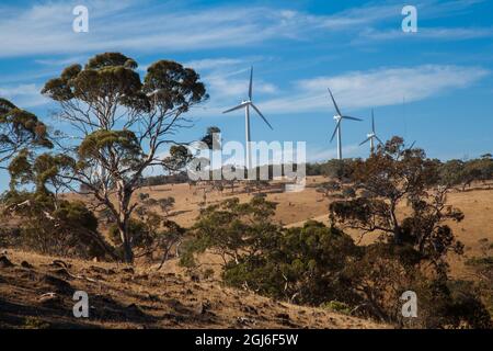 Cape Jervis Windturbinen South Australia. Stockfoto