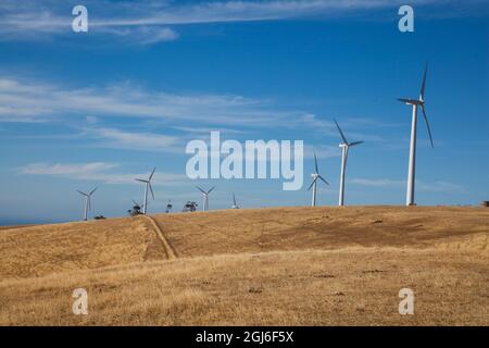 Cape Jervis Windturbinen South Australia. Stockfoto