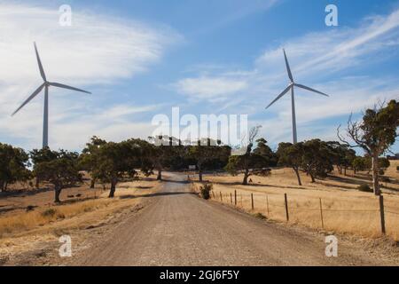 Cape Jervis Windturbinen South Australia. Stockfoto