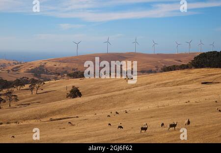 Cape Jervis Windturbinen South Australia. Stockfoto