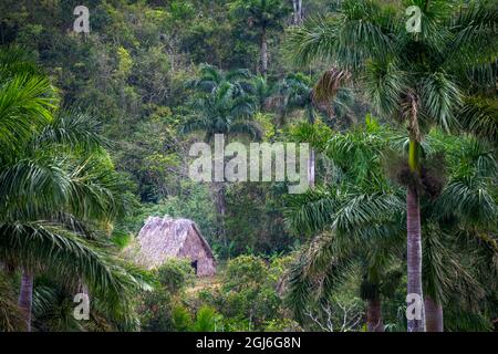 Kleines Grasgebäude im Vinales-Tal vom Aussichtspunkt des Hotels Los Jazmines aus gesehen, Vinales, Kuba. Stockfoto