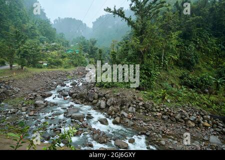 Karibik, Westindien, Dominica Island. Tropischer Regenwald und Bach flussabwärts von den Trafalgar Falls im südlichen zentralen Teil der Insel Stockfoto