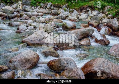 Malerische Sommerlandschaft – Gebirgsfluss in einem Wald – kristallklares Wasser, Felsen und üppiges Laub. Stockfoto