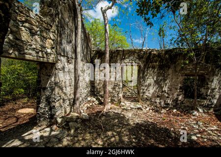 Wade's Green Plantation Historic Site, North Caicos, Turks- und Caicos-Inseln, Karibik. Stockfoto