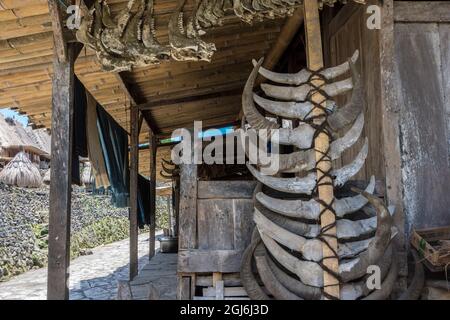 Büffelhörner und Unterkiefer aus rituellen Sakrafeien schmücken ein Haus im traditionellen Ngada-Dorf Bena. Flores Island, East Nusa Tenggare, Indonesien. Stockfoto