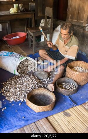 Mann, der auf einer Veranda im traditionellen Dorf Bena die Schalen von Kerzennüssen (kemiri) zerbricht. Flores Island, East Nusa Tenggara, Indonesien. Stockfoto