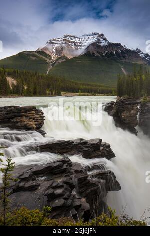 Kanada, Alberta. Blick auf die Athabasca Falls auf dem Athabasca River auf dem Icefields Parkway. Stockfoto