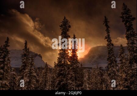 Goldener Winteruntergang an der Grenze der Nationalparks Banff und Jasper in Kanada Stockfoto