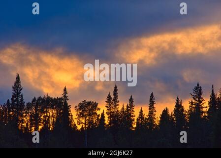 Kanada, British Columbia, Liard River Hot Springs Provincial Park. Sonnenuntergang und Wald Silhouette. Kredit als: Mike Grandmaison / Jaynes Gallery / Danita Stockfoto