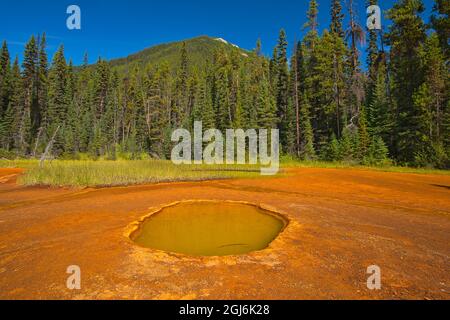 Kanada, British Columbia, Kootenay National Park. Eisenhaltige Farbtöpfe Mineralquellen verfärben den Boden. Kredit als: Mike Grandmaison / Jaynes Gallery / Da Stockfoto