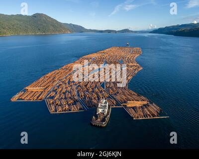 Kanada, British Columbia, Campbell River, Luftaufnahme von tugboat drücken Boom von frisch geschnittenen Protokolle in Richtung Seymour Narrows auf Vancouver Island auf Summe Stockfoto