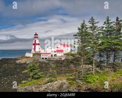 Kanada, Campobello Island. East Quoddy Head Lighthouse an der nördlichsten Spitze von Campobello Island, New Brunswick, Kanada, wurde 1829 erbaut. Stockfoto