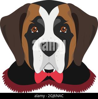 Halloween Grußkarte. Saint Bernard Hund als Vampir mit Reißzähnen und Umhang gekleidet Stock Vektor