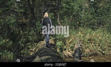 Traveler fotografieren malerischen Blick in den Fluss. Holz Brücke gefallenen Baum. Eine kaukasische Frau schießen nettes Magic suchen. Mädchen nehmen Foto Video auf ca Stockfoto