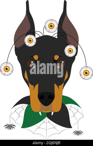 Halloween Grußkarte. Dobermannhund mit furchteinflößenden Augen und einem Spinnennetzkragen bekleidet Stock Vektor
