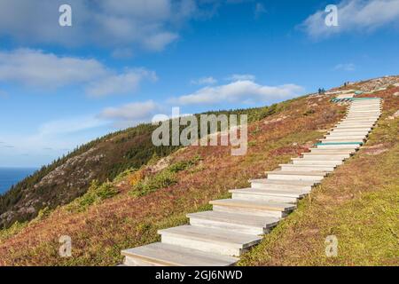 Kanada, Nova Scotia, Cabot Trail. Cape Breton Highlands National Park, Gehweg des Skyline Trail. Stockfoto