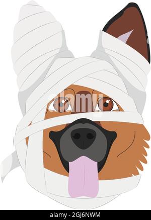 Halloween Grußkarte. Deutscher Schäferhund gekleidet wie eine Mumie Stock Vektor