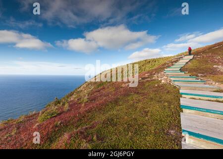 Kanada, Nova Scotia, Cabot Trail, Cape Breton Highlands National Park, Walkway of the Skyline Trail Stockfoto