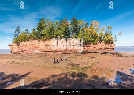 Kanada, Nova Scotia, Minasville, burncoat Kopf Park auf der Minas Basin, kleine Insel bei Ebbe Stockfoto