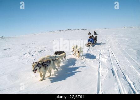 Baker Lake, Nunavut, Kanada. Menschen in traditioneller Karibu-Kleidung und moderner arktischer Kleidung fahren auf einem Schlitten hinter dem Hundegespann. Das Team i Stockfoto