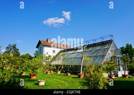 Öffentlicher Garten mit Gewächshaus im Tivoli öffentlichen Park in Ljubljana, Slowenien mit Palmen im Vordergrund Stockfoto