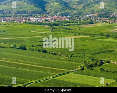 Blick auf die Donau vom Kloster Gottweig, UNESCO-Weltkulturerbe Wachau, Niederösterreich Stockfoto