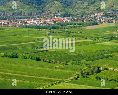 Blick auf die Donau vom Kloster Gottweig, UNESCO-Weltkulturerbe Wachau, Niederösterreich Stockfoto