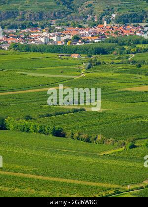 Blick auf die Donau vom Kloster Gottweig, UNESCO-Weltkulturerbe Wachau, Niederösterreich Stockfoto