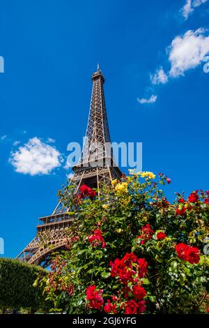 Eiffelturm benannt nach Gustave Eiffel, Paris, Frankreich. Stockfoto