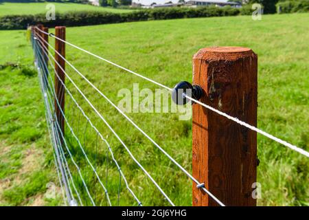 Elektrozaun Draht entlang eines Zauns in der Mitte eines Feldes. Stockfoto