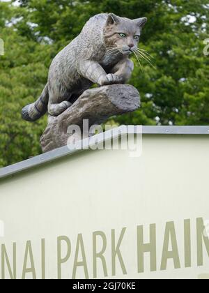 Europäische Wildkatze aus Holz geschnitzt. Das Symbol und Maskottchen des Naturparks Thüringer Wald, der zum UNESCO-Weltkulturerbe gehört. Urbuche Stockfoto