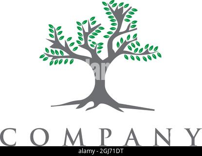 Baum des Lebens Logo Design Vektor-Vorlage Illustration Stock Vektor