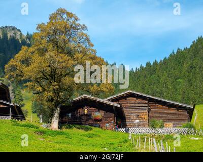 Die historische Alpensiedlung Gerstruben im Allgau bei Oberstdorf. Deutschland, Bayern Stockfoto