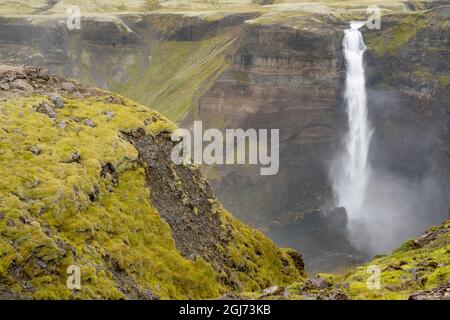 Island, Haifoss Wasserfall. Der Fossa River fließt über die moosbewachsenen Klippen und stürzt 122 Meter tief in die Tiefe. Stockfoto