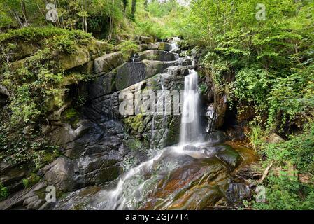 Cascade de Narvau, ein kleiner Wasserfall in Lormes im Morvan Regional Natural Park in der Region Bourgogne, Frankreich. Stockfoto