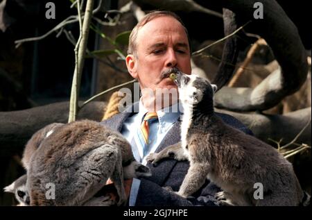 DATEI 1997-04-22. John Cleese, englischer Schauspieler, Komiker, Schriftsteller und Filmproduzent, in Schweden, um für seinen neuen Film Fierce Creatures zu werben. Abgebildet füttert er seine neuen Freunde, die Lemuren im Freilichtmuseum Skansen. Foto: Mark Earthy / SCANPIX Code: 50050 Stockfoto
