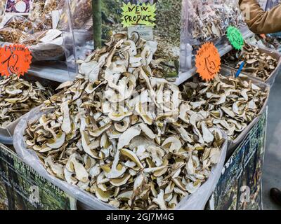 Italien, Florenz. Verschiedene Wahrheiten von getrockneten Pilzen zum Verkauf auf dem Central Market, Mercato Centrale in Florenz. Stockfoto