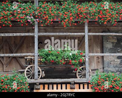 Canale d'Agordo, traditionelle alpine Architektur im Tal Val Biois, Italien. Stockfoto