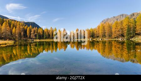 Lago San Pellegrino (Lech de San Pelegrin) im Herbst am Passo San Pellegrino in den Dolomiten, Italien. Stockfoto