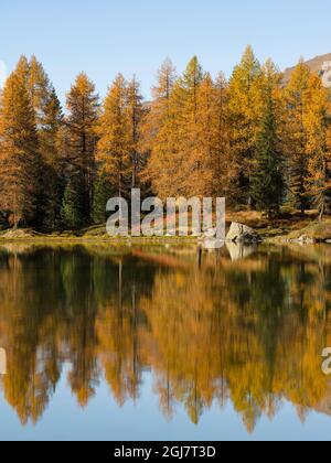 Lago San Pellegrino (Lech de San Pelegrin) im Herbst am Passo San Pellegrino in den Dolomiten, Italien. Stockfoto