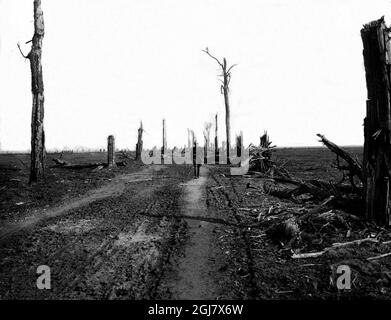 DATEI 1914-1918. Bild aus dem Ersten Weltkrieg. Nordfrankreich 1918. Das Land wird durch den Krieg ruiniert. Stockfoto